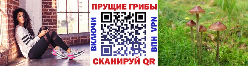 наркошоп Татарск Псилоцибиновые грибы мухоморы