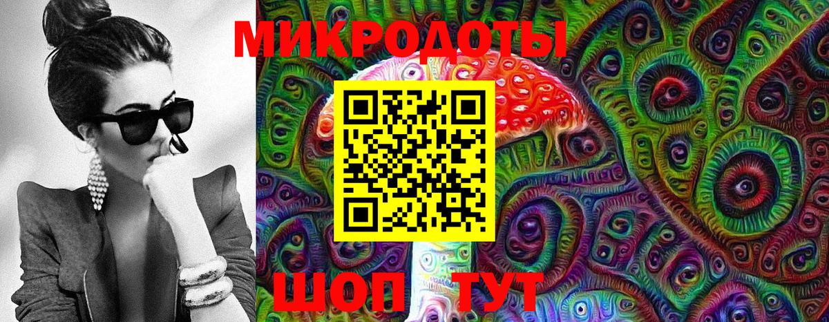 Татарск  Галлюциногенные грибы Psilocybe  Вход с VPN 